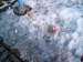 CAM_0748.JPG